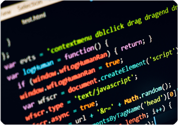 Custom Development